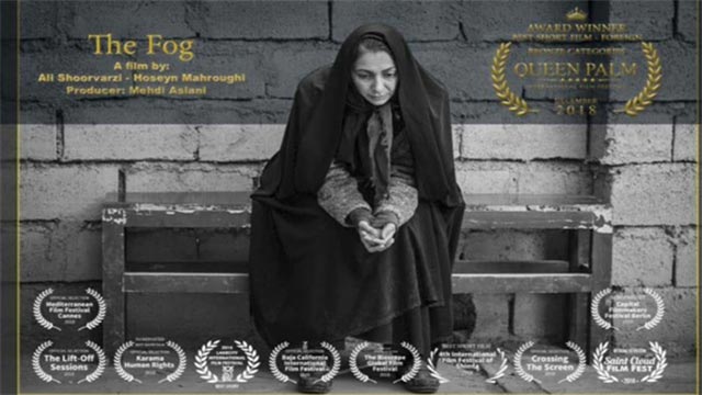 جایزه جشنواره آمریکایی برای بازیگر ایرانی