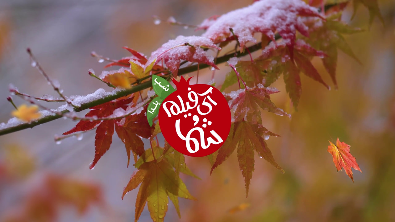 شب یلدا در قاب آی‌فیلم۲؛ روايتی مشترک از فرهنگ فارسی زبانان