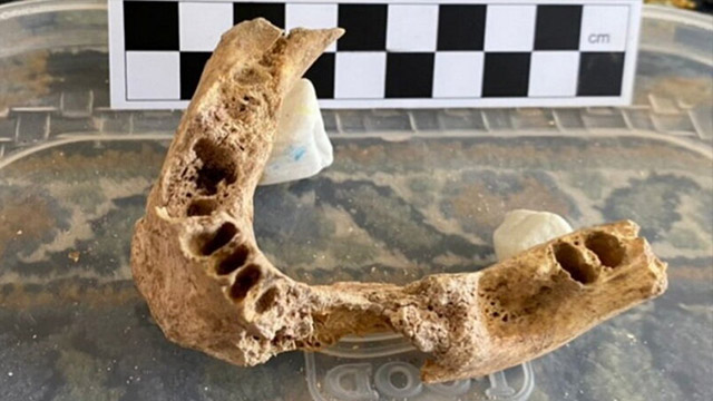 Millennia-old hyena unearthed in Iran’s Qazvin