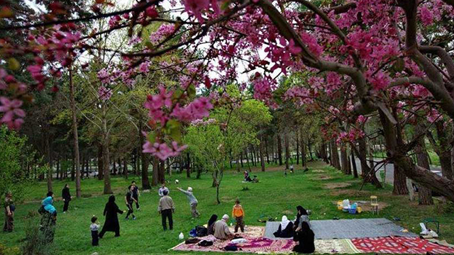 Iranians mark Sizdah Bedar nature festival