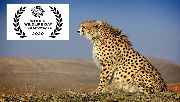 الأمم المتحدة تستضيف فيلما عن الفهد الإيراني