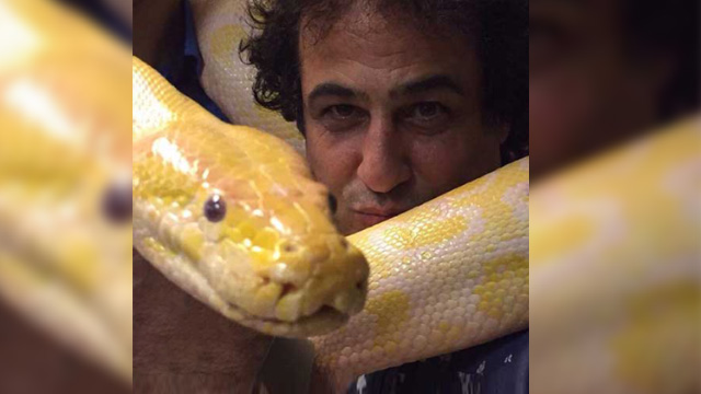 Python in hands of Iran actor