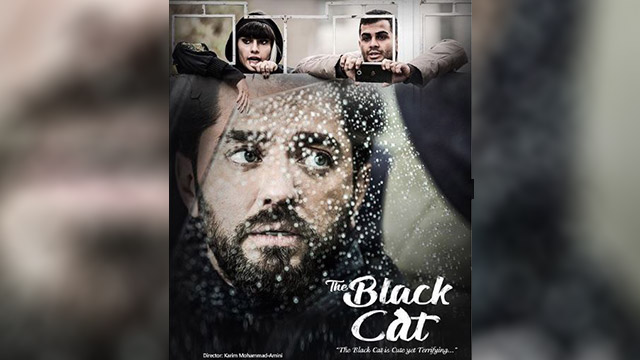 ‘The Black Cat’ released English poster