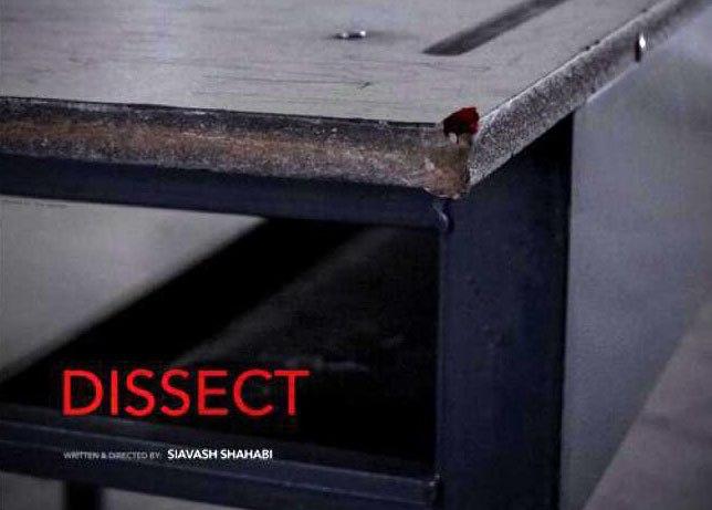 Zurich to screen Iranian film ‘Dissect’
