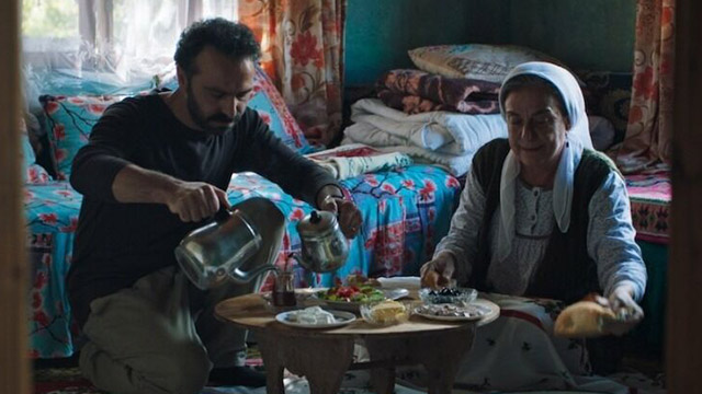 ‘Silenced Tree’ wins award at Hamilton New York fest