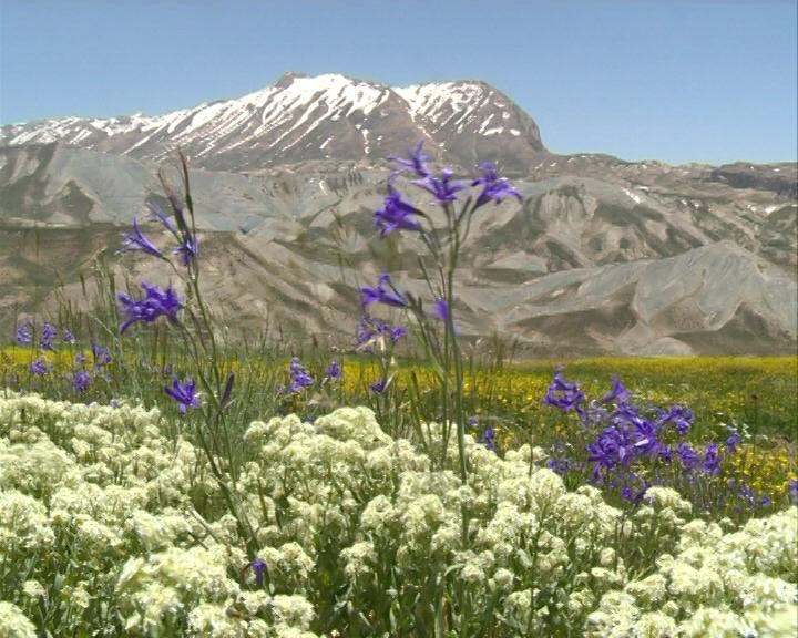 طبیعت چهارمحال و بختیاری