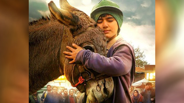 ‘Cinema Donkey’ releases poster